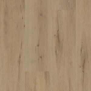 Belakos Attico Dryback 800