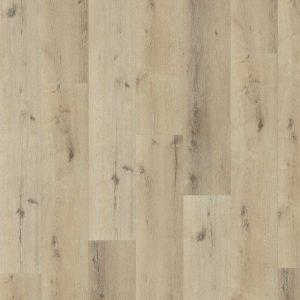 Belakos Palazzo Dryback 150