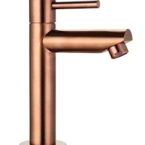 Saniluxe Opbouw Fonteinkraan Brons 16 cm