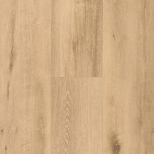 Spirit Soul Plank Allegra