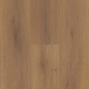 Spirit Soul Plank Terra